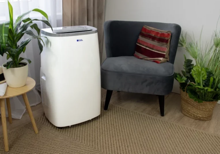 FSC13H 14 768x539 1 - CzystyTlen.pl