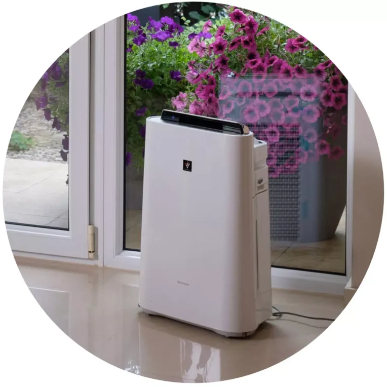 AnyConv com kc d wyglad - CzystyTlen.pl