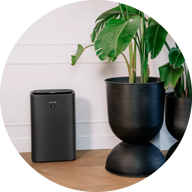 Bariera mechaniczna - CzystyTlen.pl